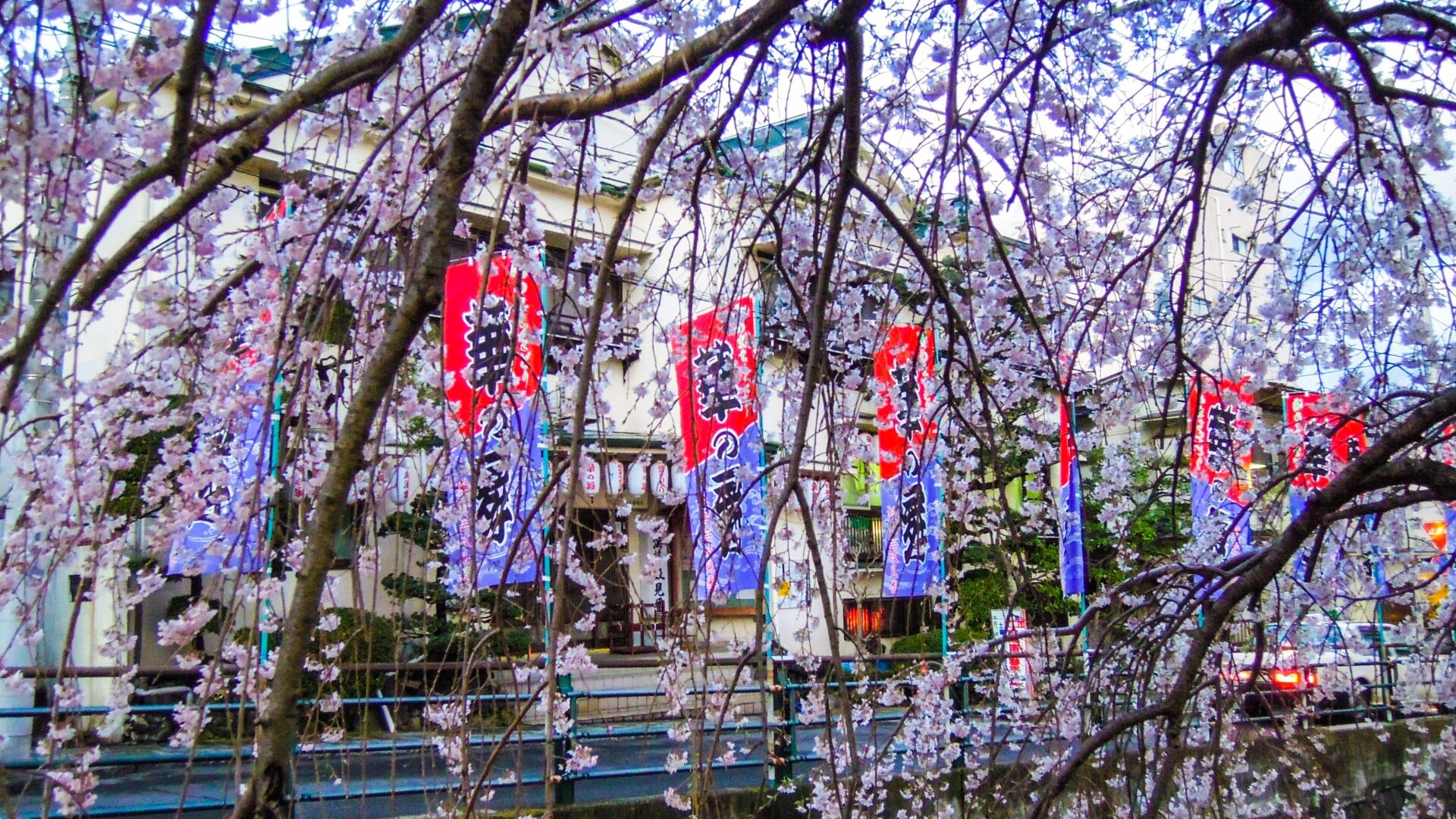 芸妓見番「華の舞」