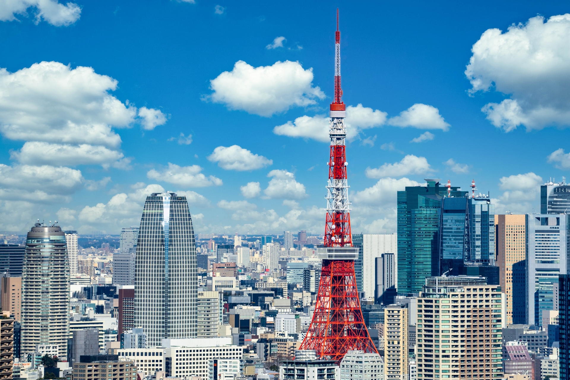 足が悪くても行ける東京の観光地12選&ホテル7選|歩かず楽しむ旅
