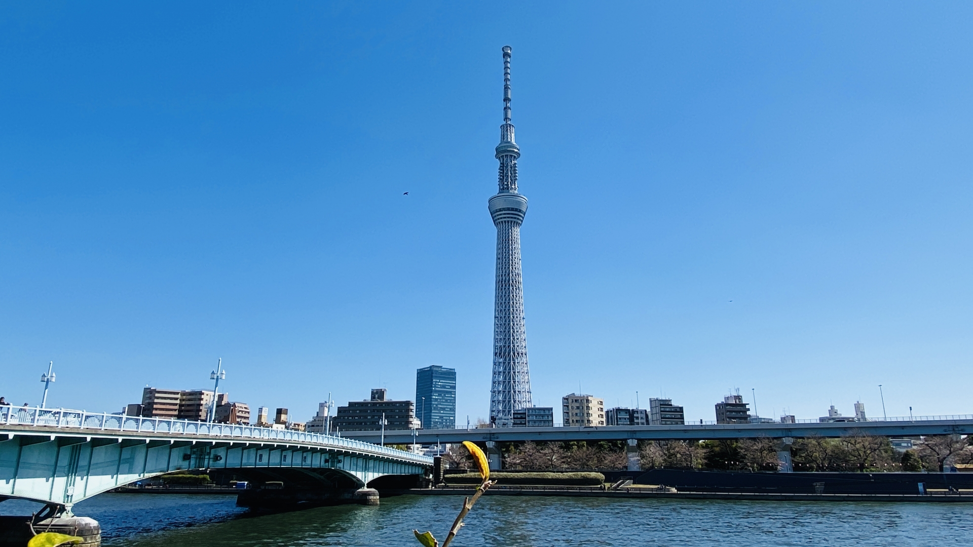 3. 東京スカイツリー(とうきょうスカイツリー)