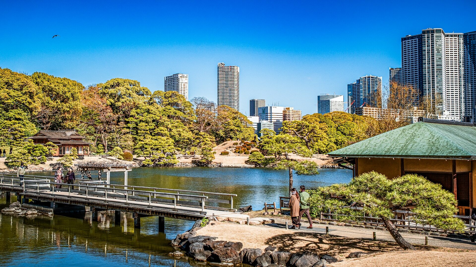 12. 浜離宮恩賜庭園