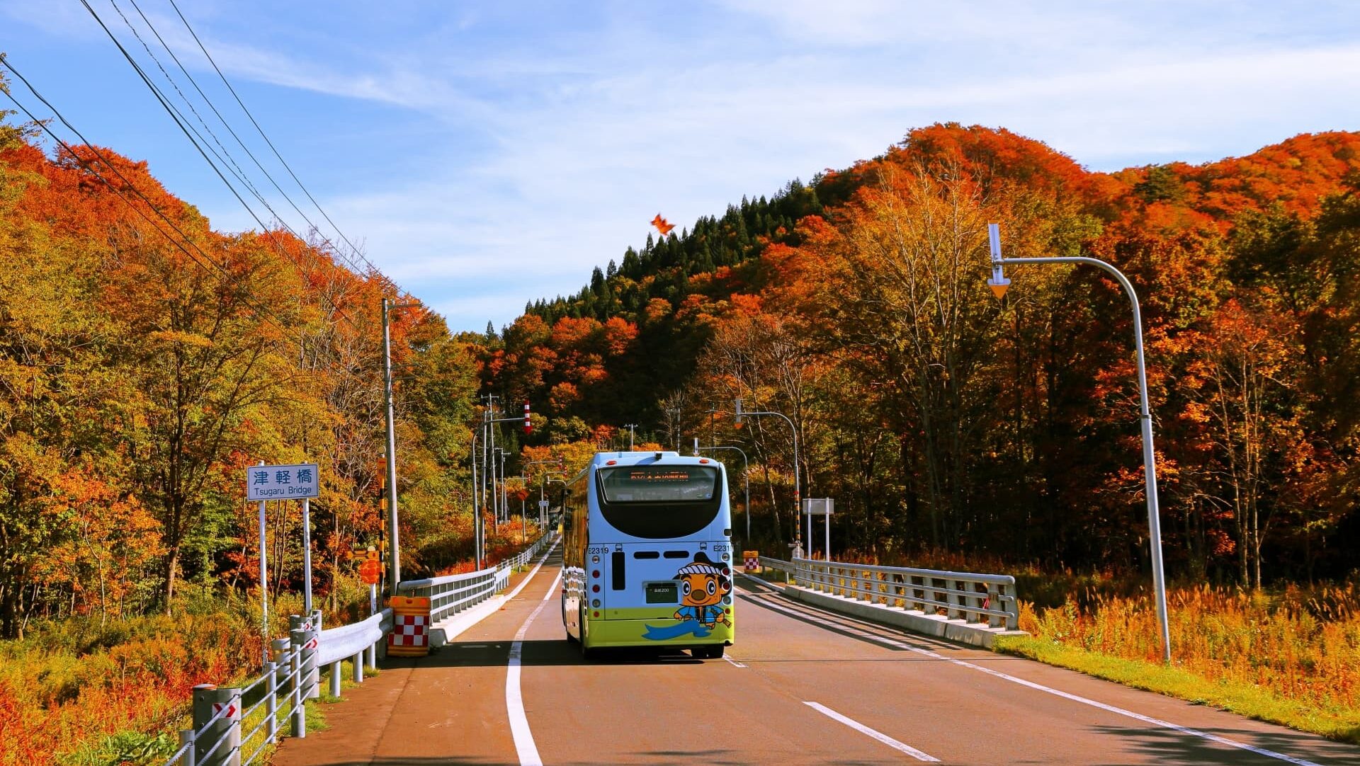 【2026秋】おすすめの紅葉バスツアー(日帰り&宿泊)|大人の紅葉旅のアイキャッチ画像
