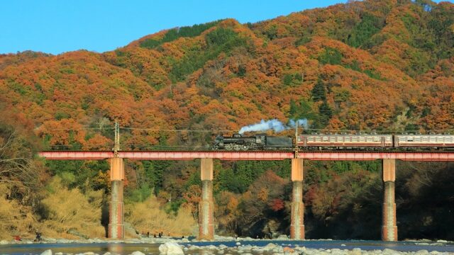 長瀞(ながとろ)の紅葉